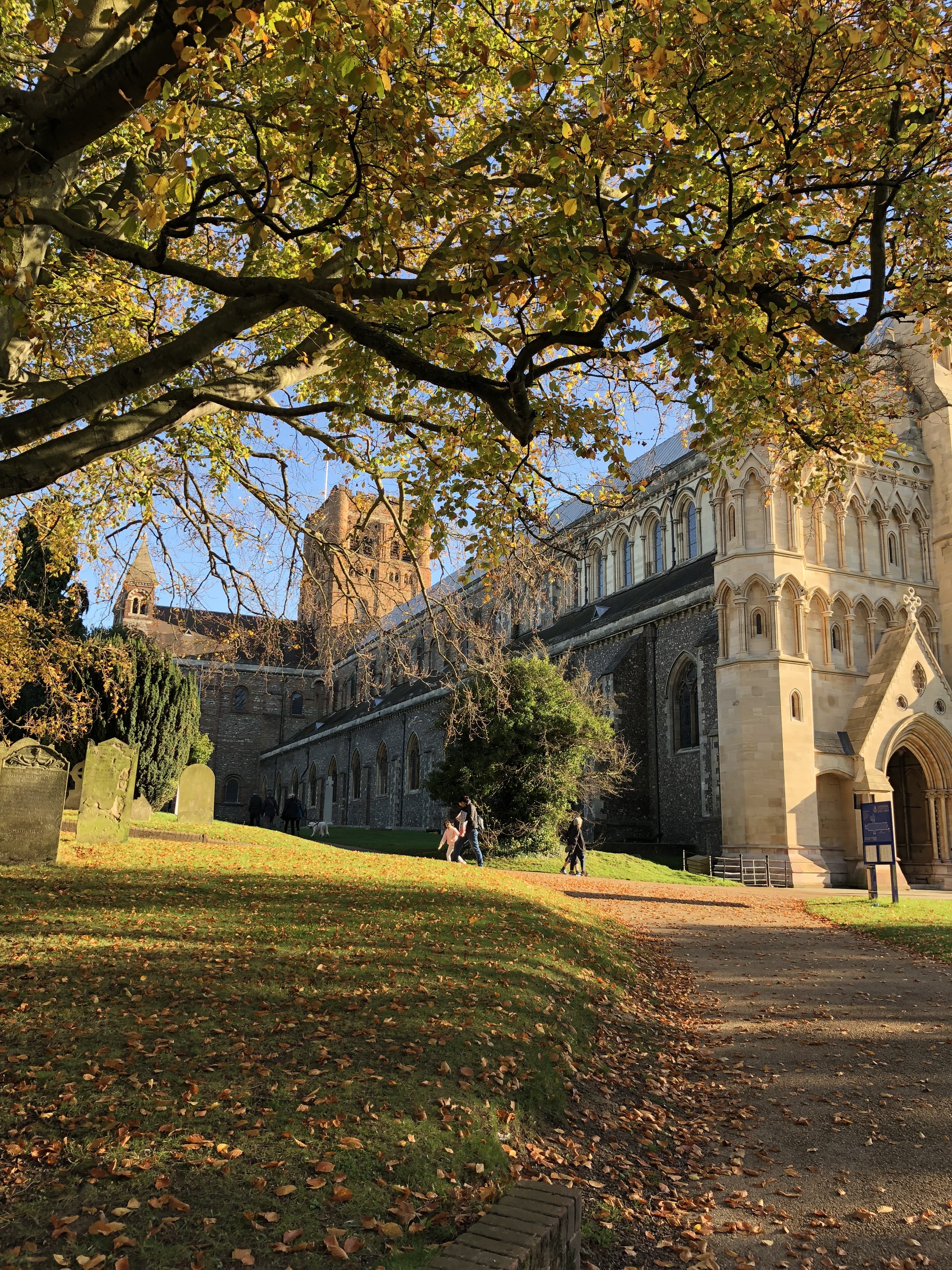 Autumn - portrait.jpeg