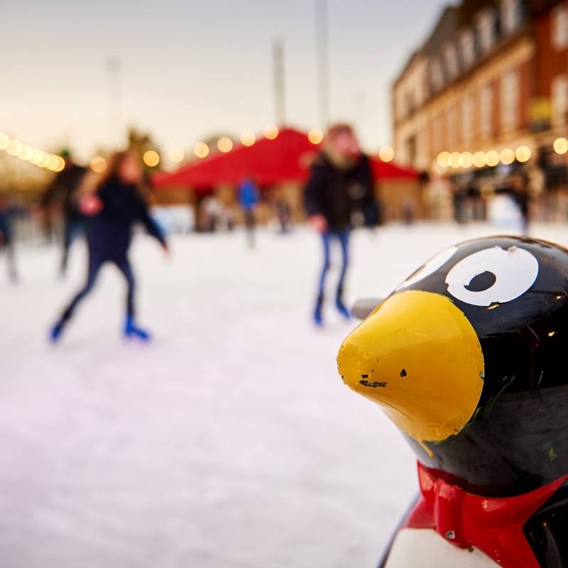 Stable Yard (1).jpg (1)