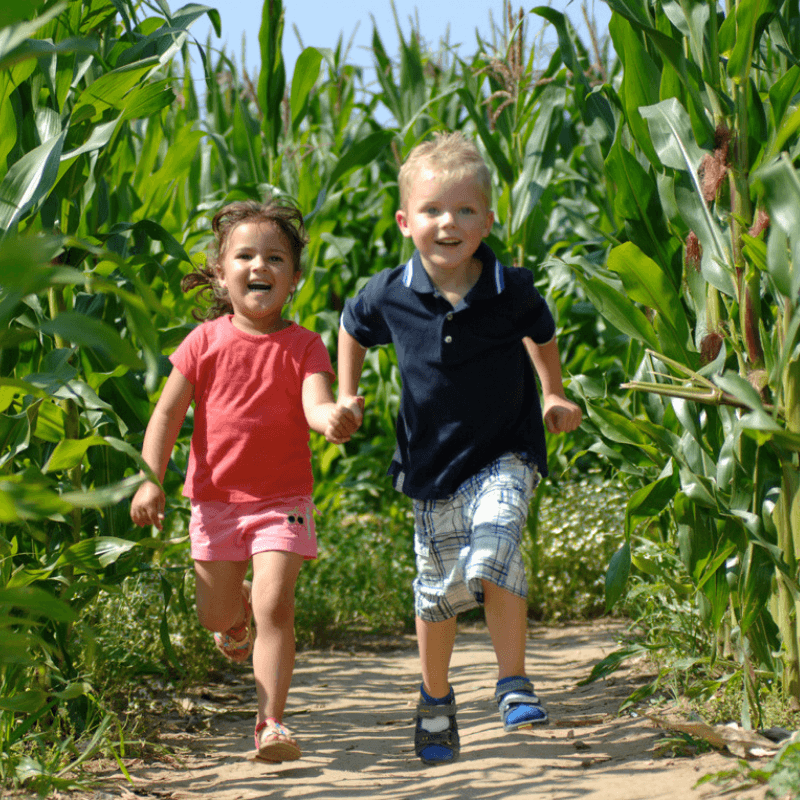 Untitled design (11).png