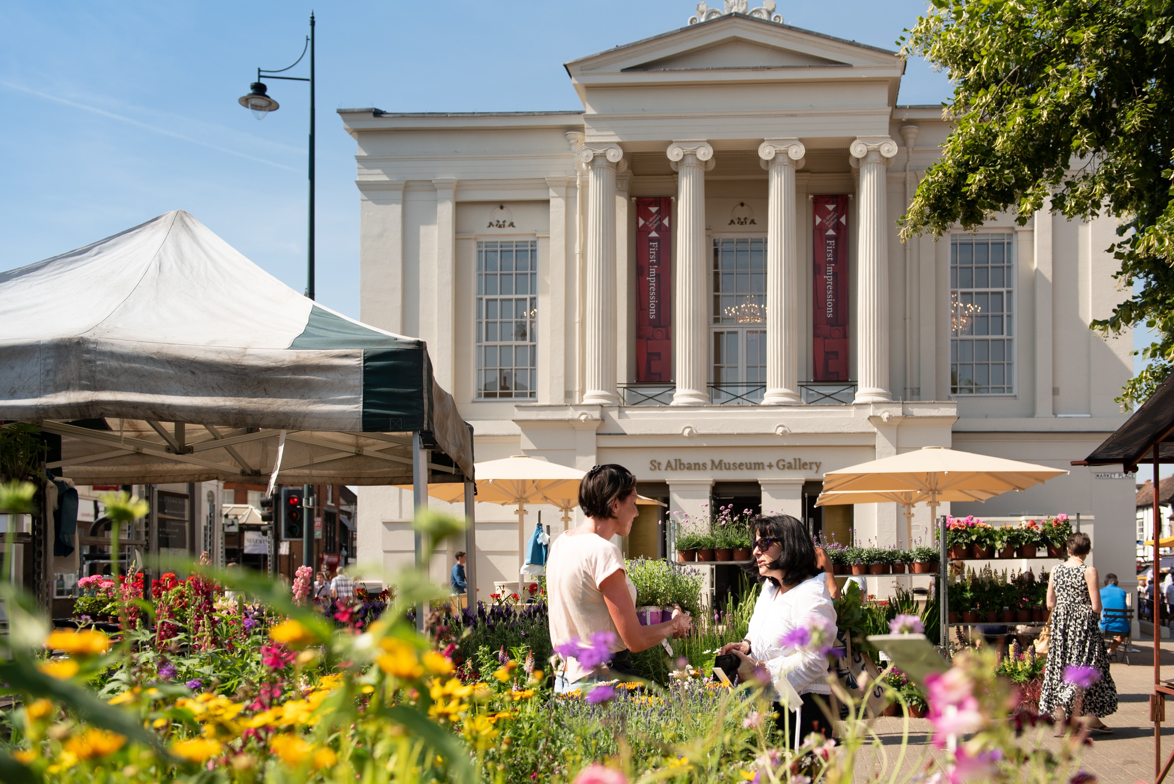 Credit Stephanie Belton 8985 Museum and Gallery (2).jpg