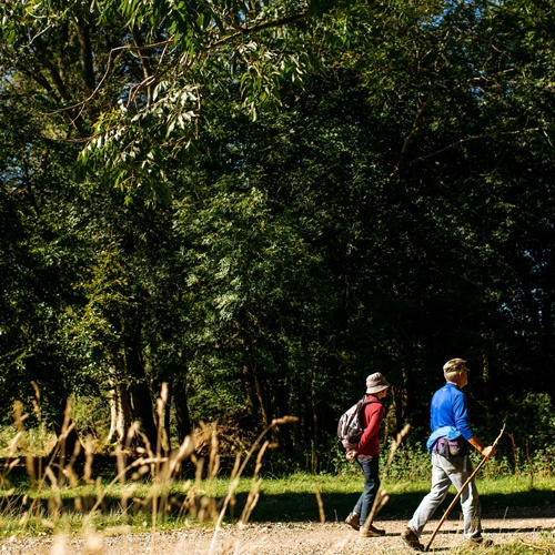 Ashridge 500x500.jpg