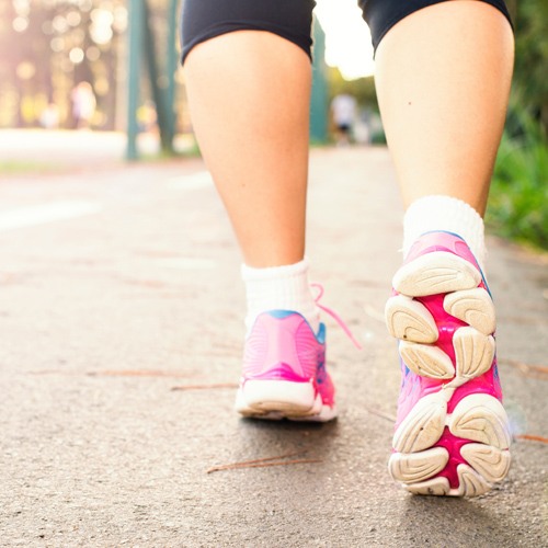 Hertfordshire Health Walks 500x500.jpg