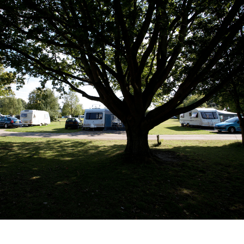 Untitled design (3).png