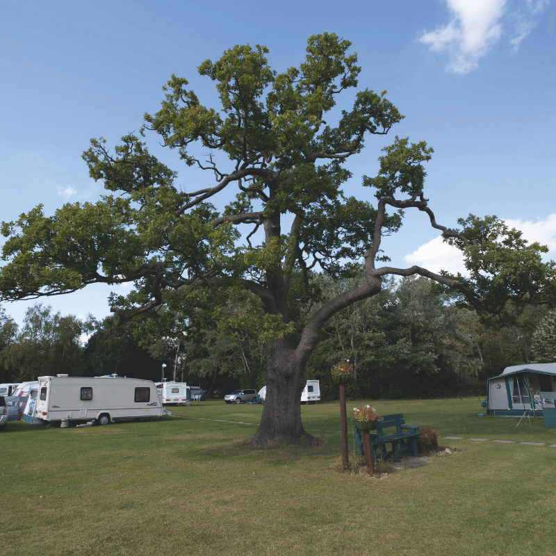 Untitled design (4).png