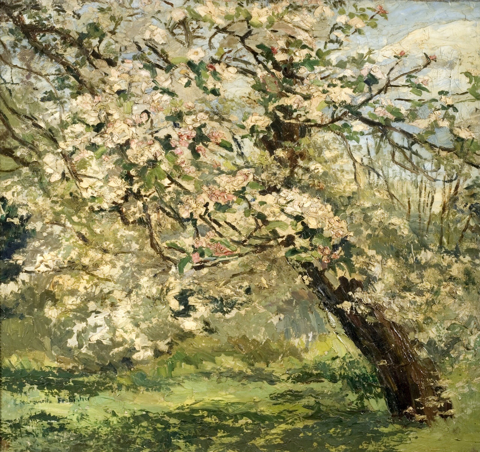 1d459a03-7aa4-4502-bdfb-2133f0ecd2e1-Marguerite Frobisher - Apple Blossom in the Garden, Kingsley, Bushey.jpg