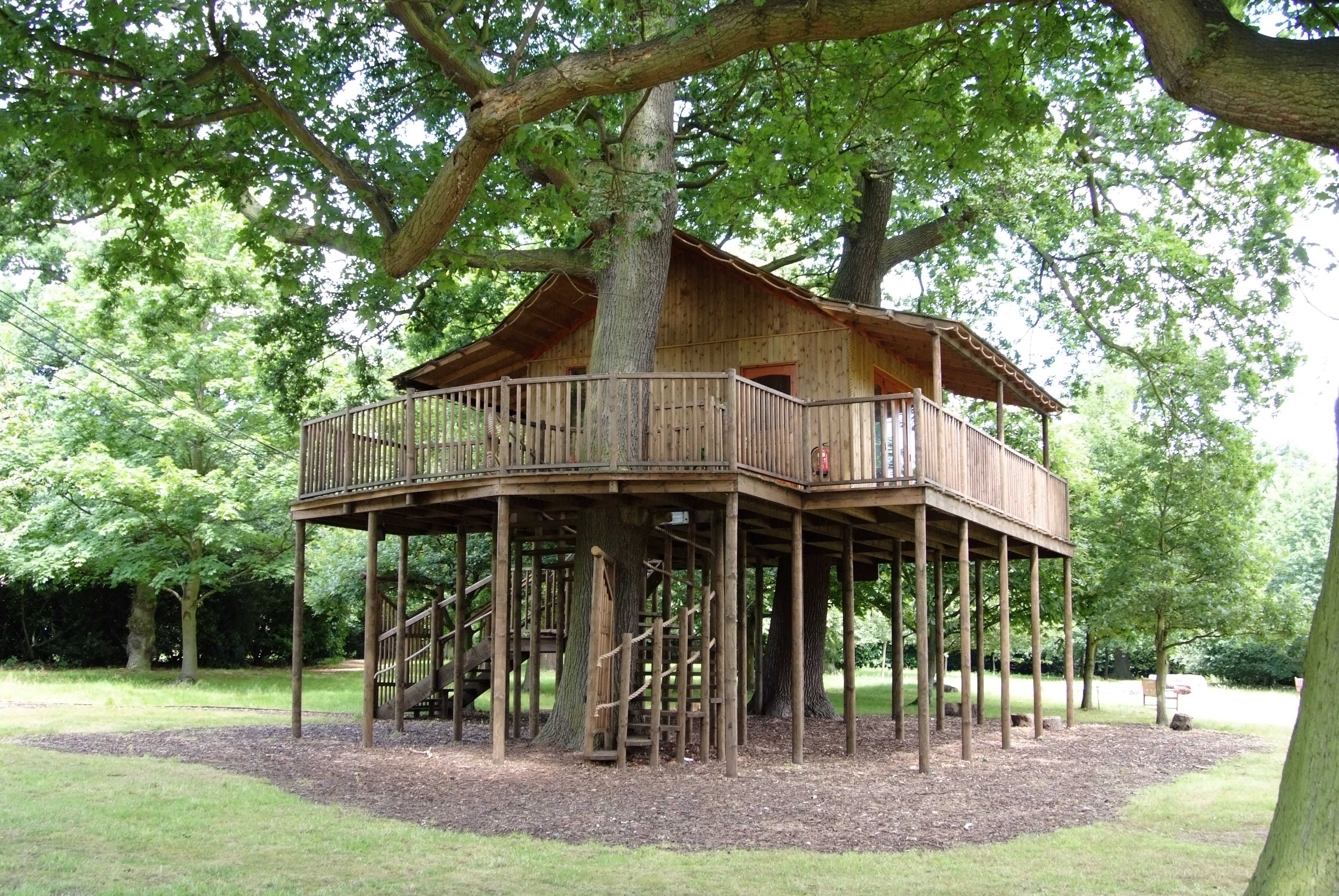 Treehouse