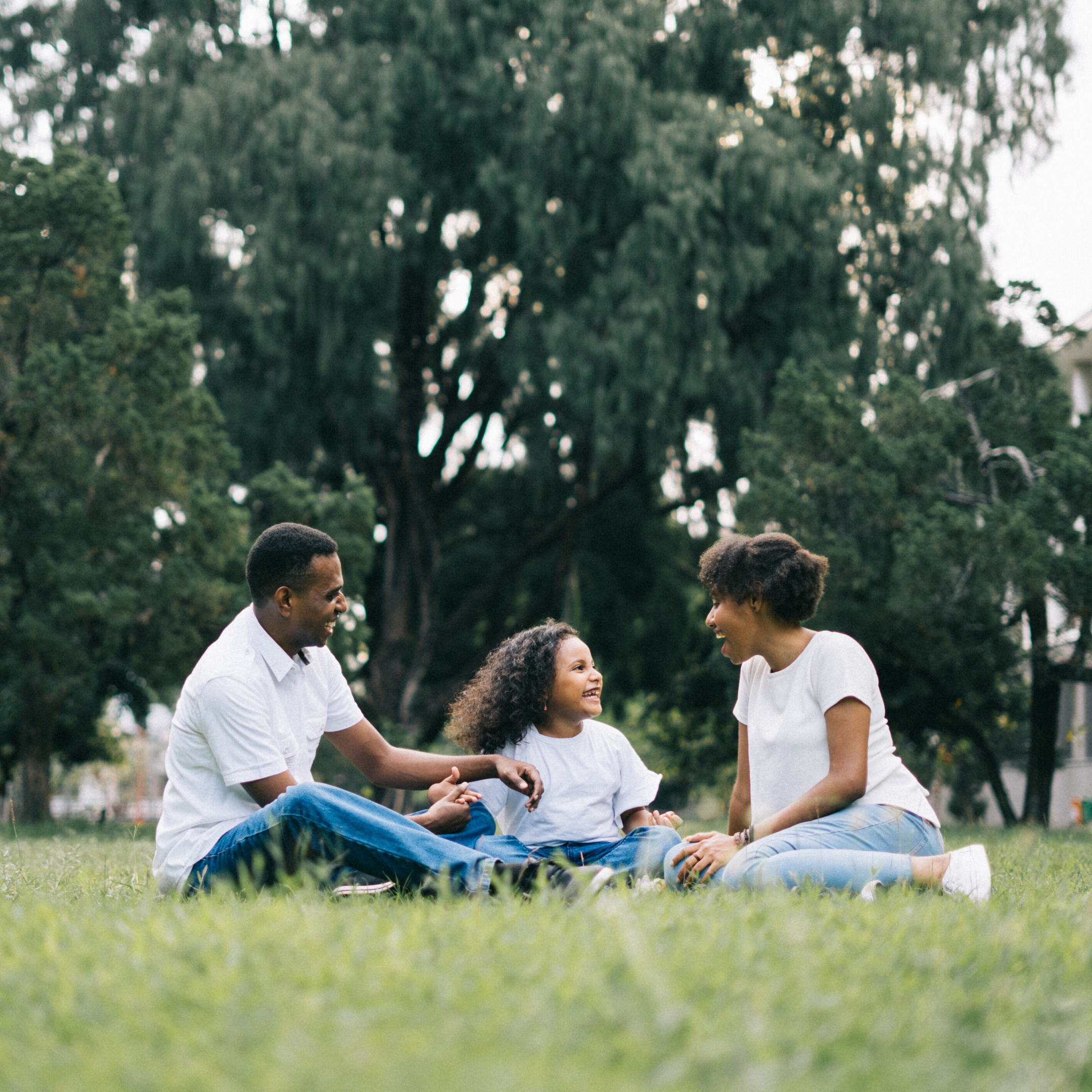 Summer Holidays Pexels