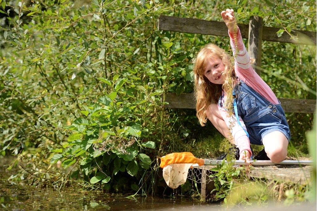 076b5a3e-7751-4f0c-8dbb-8dfcc61c0de8-Girl Pond dipping.jpg