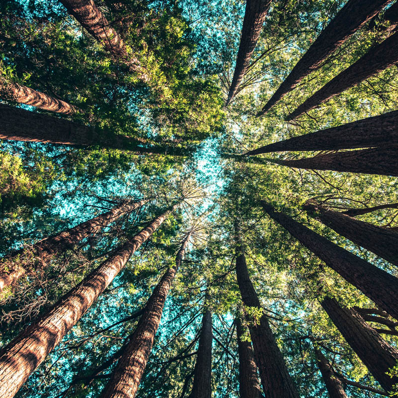 Sustainable Break Summary