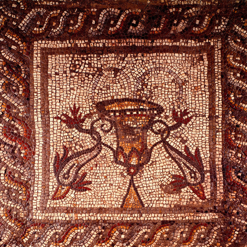 Verulamium Museum 800X800