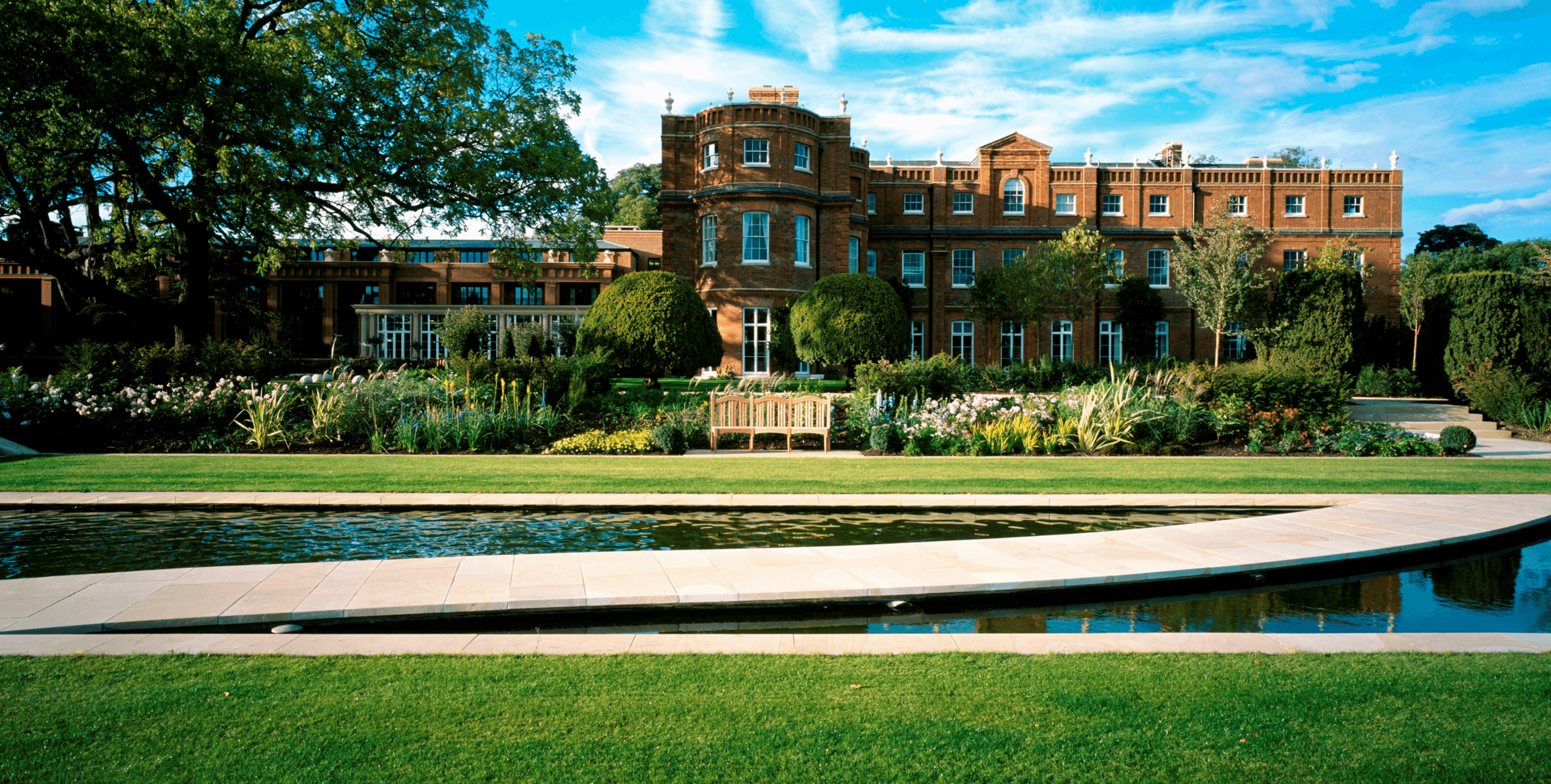 The Grove Banner Image.png