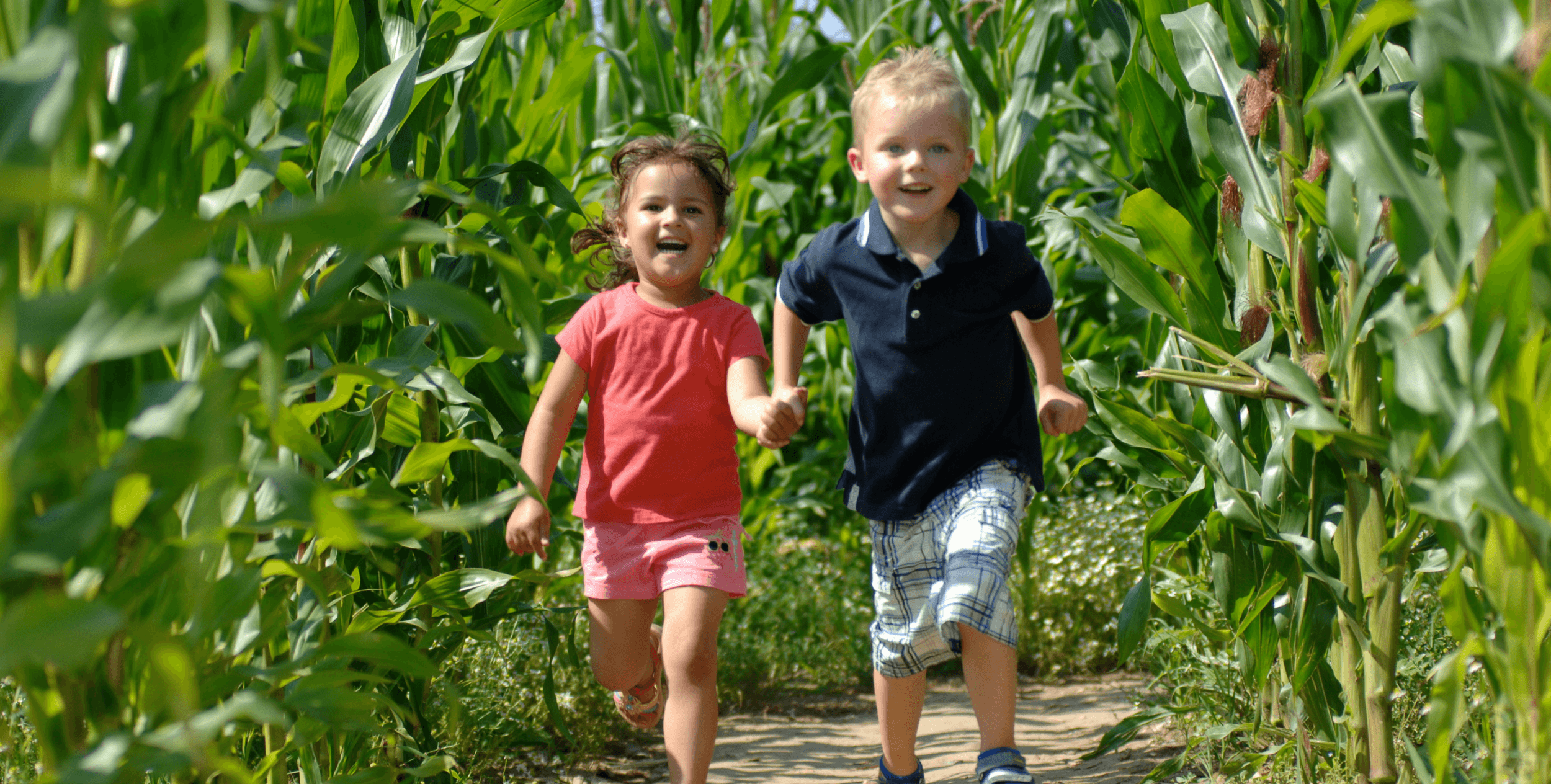 Willows Activity Farm Banner Image.png