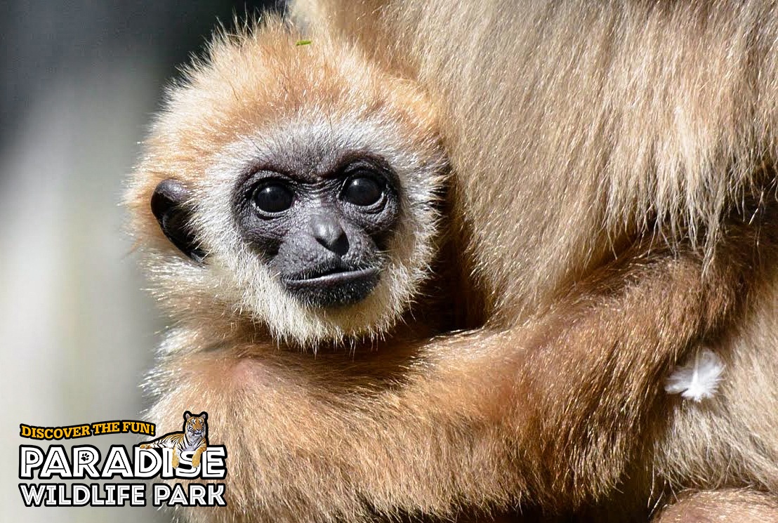 11 November - Michelle Aylott.jpg