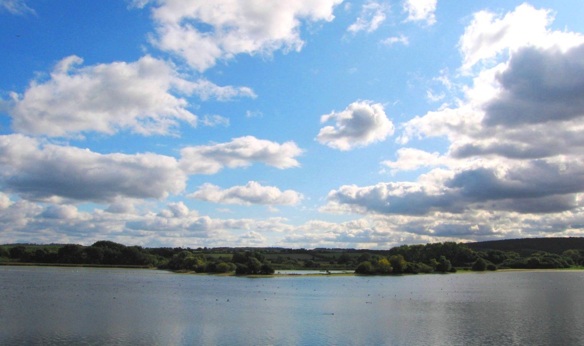 Tring-Reservoirs-Tim-Hill.jpg