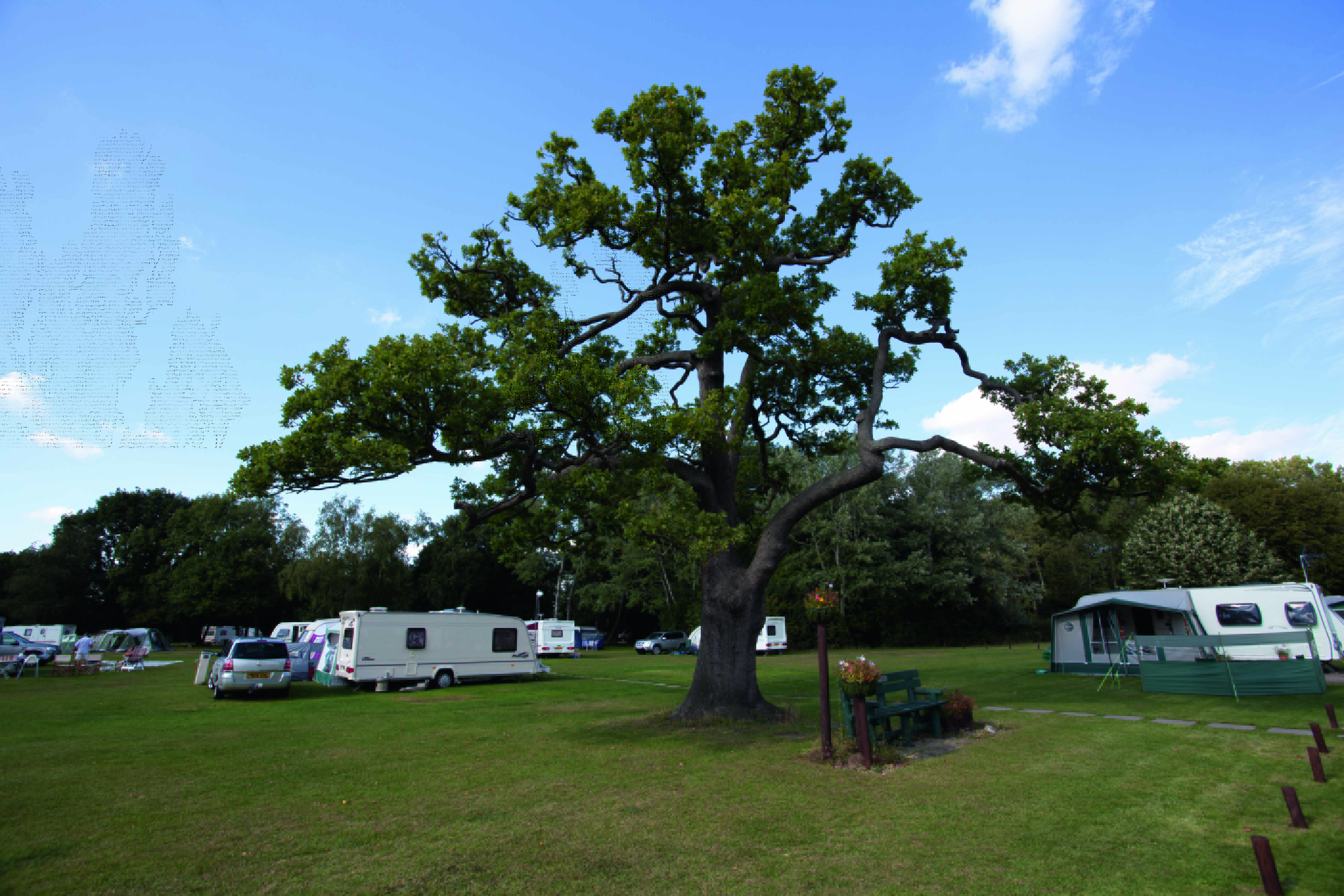 9079_Hertford 2011_MG_3895.1.jpg