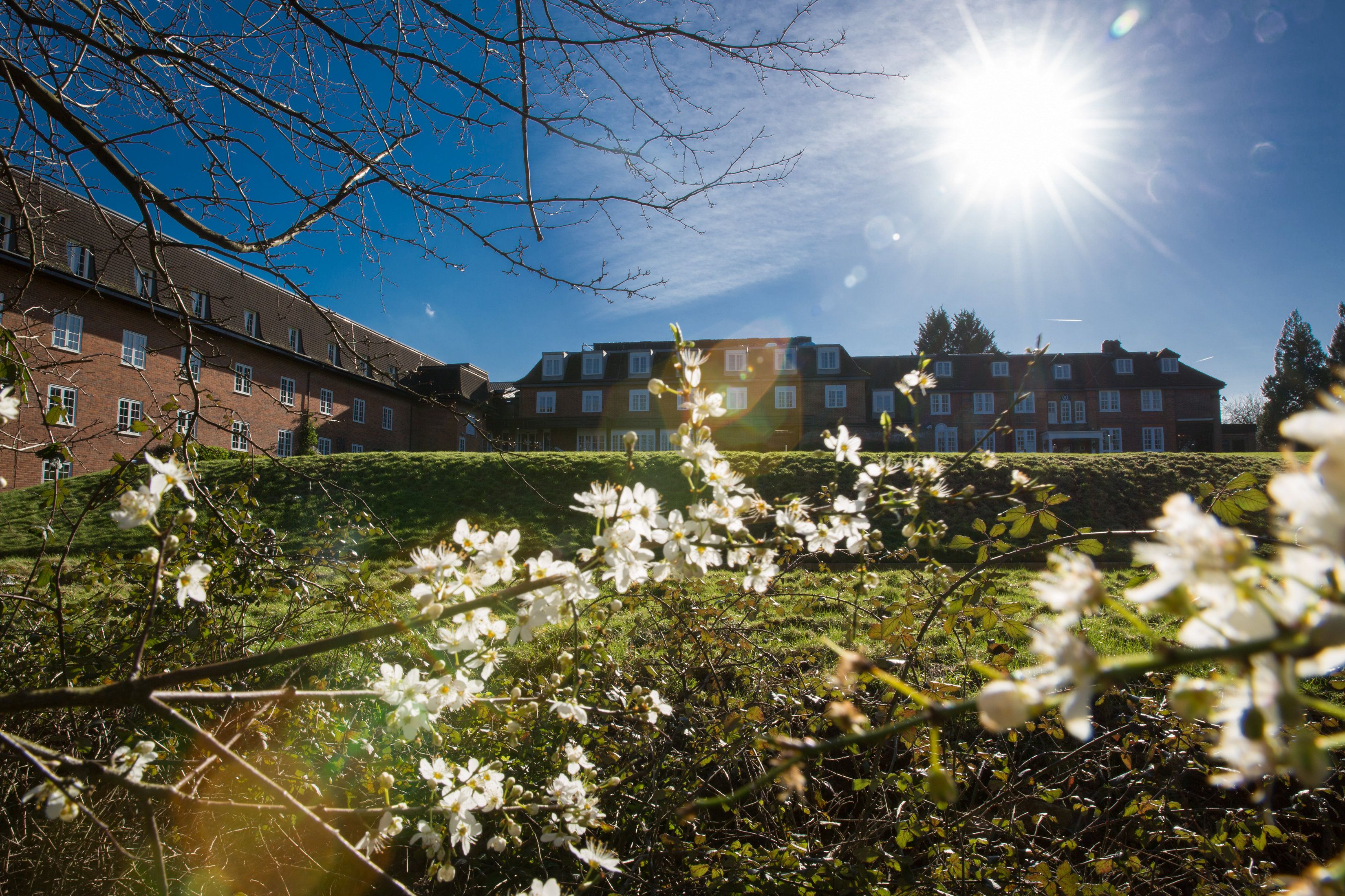 Needham Outside - no railing.jpg